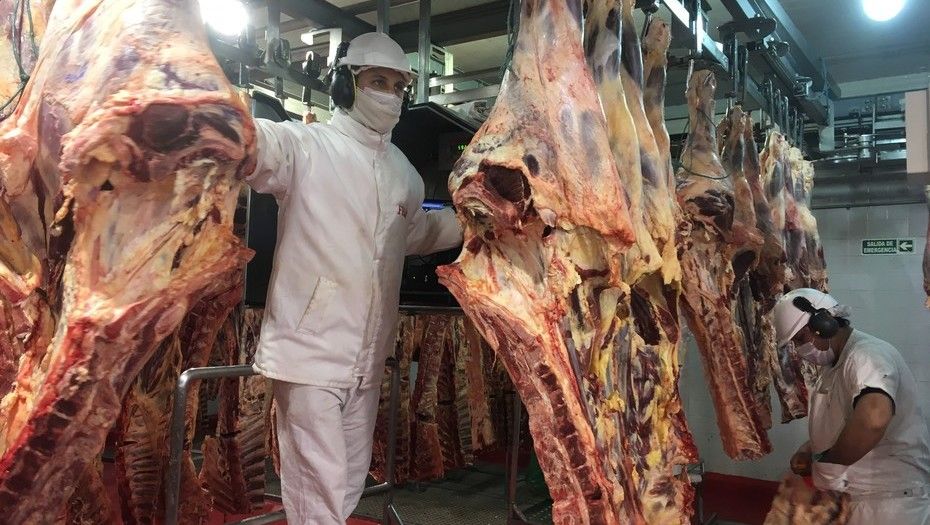 Exportaciones de carne: crecieron 63% hasta julio de 2018, según datos oficiales