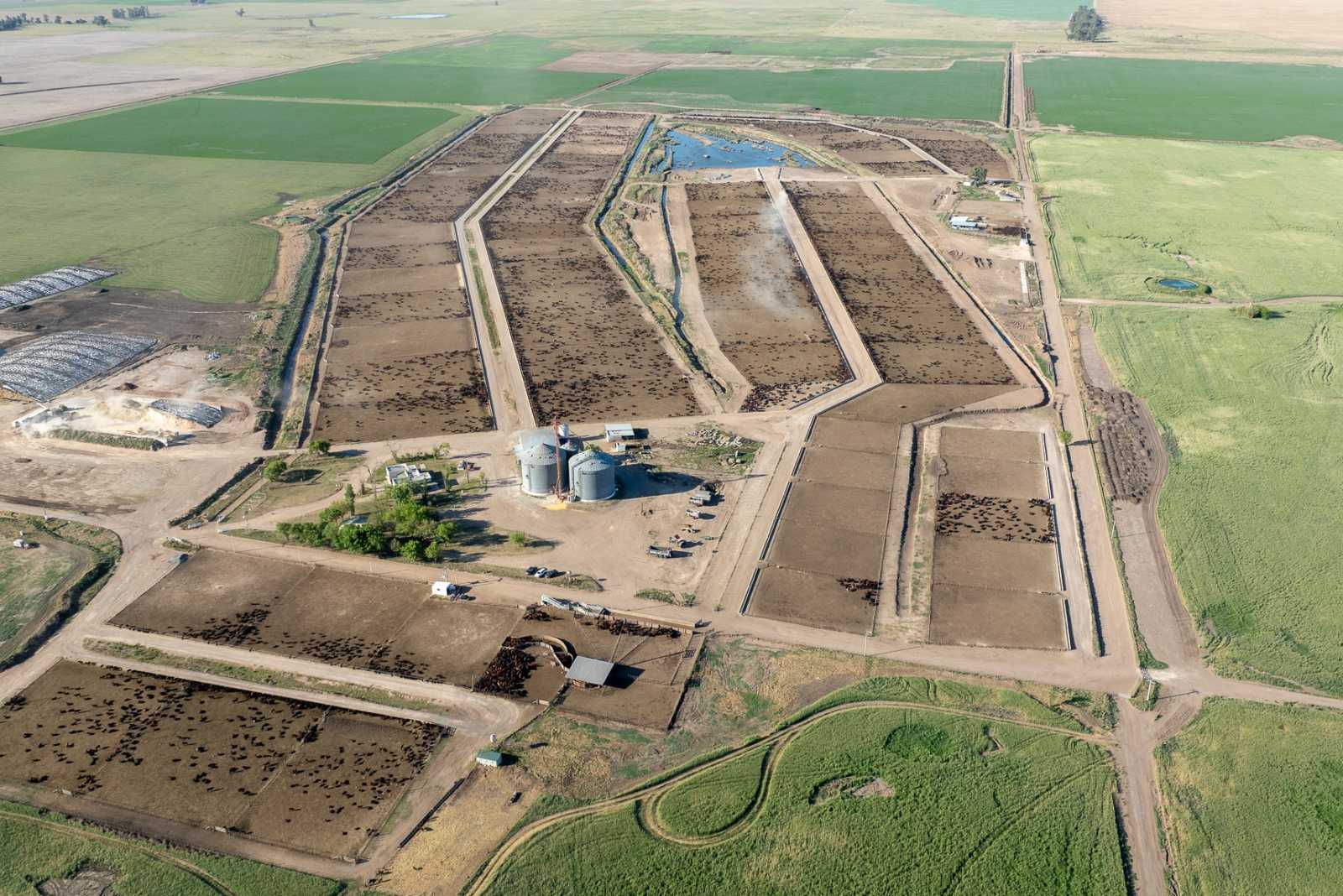 Instalación para Feedlot de la empresa Egeo S.A.