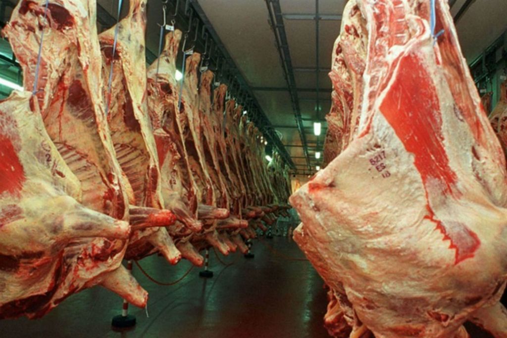 China compró más de la mitad de las exportaciones de carne