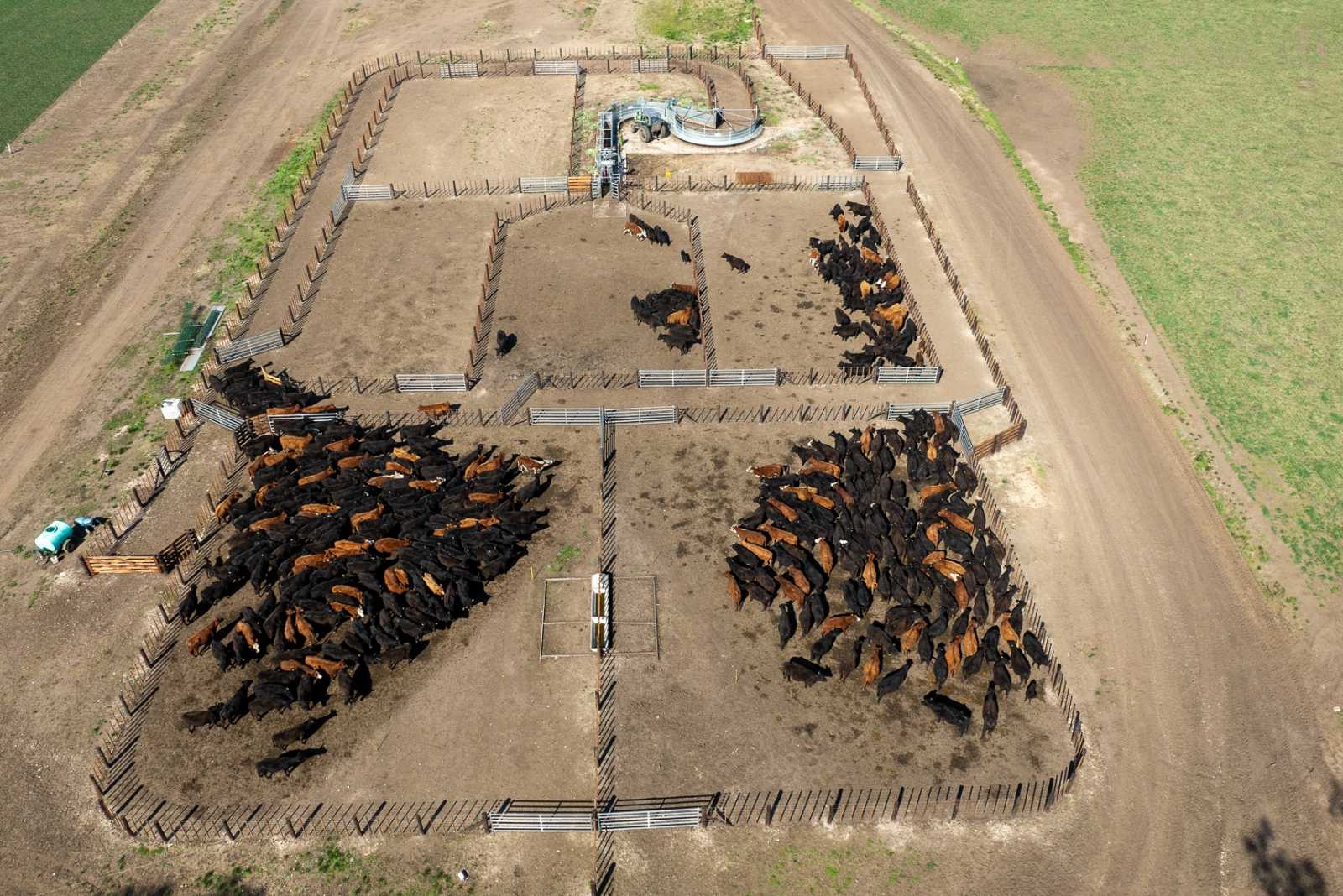 Instalación para Campo de Cría en Vásquez provincia de Buenos Aires